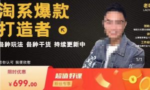 锋投老叶全店动销，淘系干货汇总，各种玩法，淘系爆款打造者-小鸿资源库