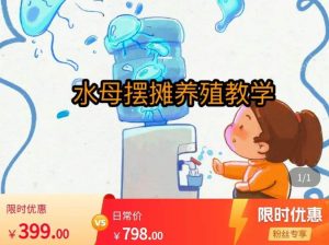 水母摆摊教学，包括摆摊技术、养殖技术、拿货渠道、抖音运营等-小鸿资源库