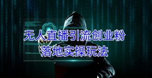 外面收费3980的无人直播引流创业粉落地实操玩法，单日引100+精准创业粉-小鸿资源库