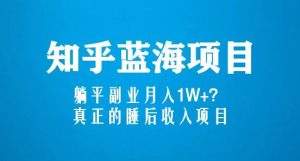 知乎蓝海玩法，躺平副业月入1W+，真正的睡后收入项目（6节视频课）-小鸿资源库