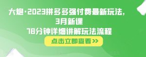 大炮·2023拼多多强付费最新玩法，3月新课​78分钟详细讲解玩法流程-小鸿资源库