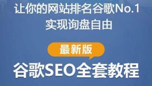 谷歌SEO实战教程：如何让你的网站在谷歌排名第一，内容从入门到高阶，适合个人及团队-小鸿资源库