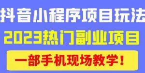 抖音小程序9.0新技巧,2023热门副业项目,动动手指轻松变现-小鸿资源库