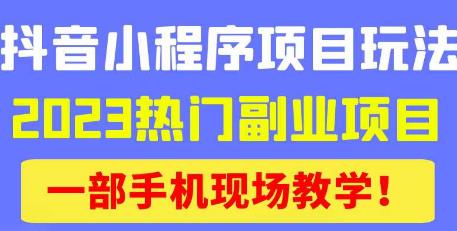 抖音小程序9.0新技巧,2023热门副业项目,动动手指轻松变现-小鸿资源库