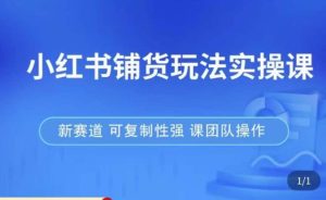 小红书铺货玩法实操课，流量大，竞争小，非常好做，新赛道，可复制性强，可团队操作-小鸿资源库