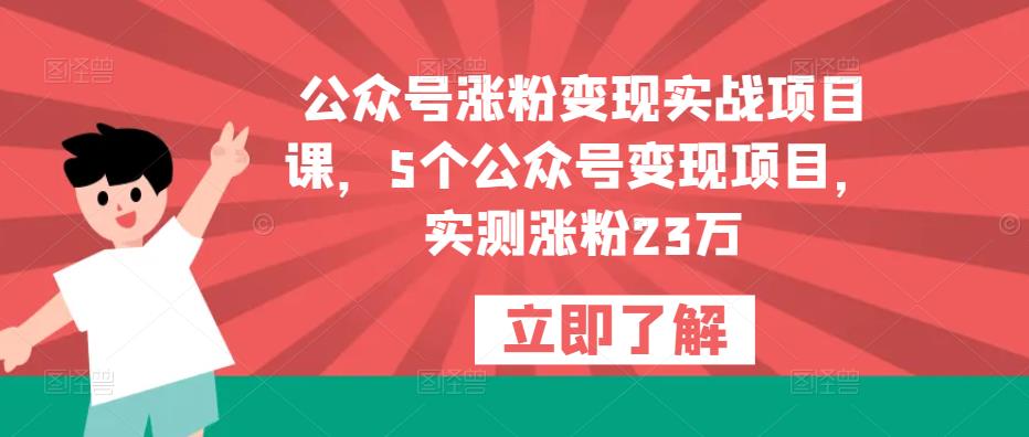公众号涨粉变现实战项目课，5个公众号变现项目，实测涨粉23万-小鸿资源库