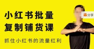 张宾·小红书批量复制铺货课，小红书0-1快速起号变现玩法，抓住小红书的流量红利（更新2023年3月）-小鸿资源库