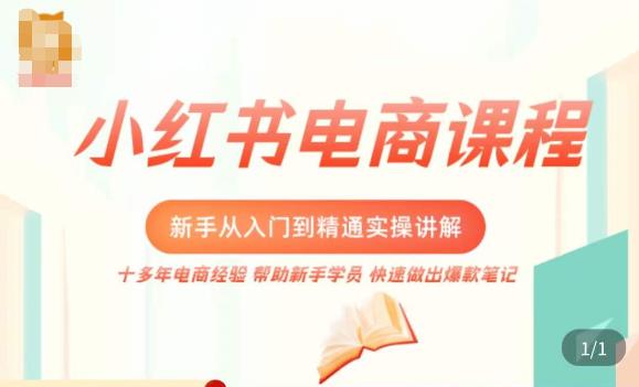 小红书电商新手入门到精通实操课，从入门到精通做爆款笔记，开店运营-小鸿资源库