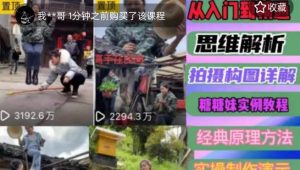 东方糖糖妹抖音短视频全套实战课思维+拍摄+剪辑+运营，从入门到精通-小鸿资源库