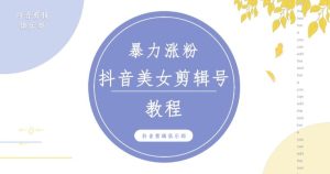 抖音快手暴力涨粉美女混剪视频教程，百分百过原创图片教程！附带违规申诉方法-小鸿资源库