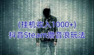抖音Steam撸音浪玩法,挂机一天收入1000+不露脸 不说话 不封号 社恐人群福音-小鸿资源库