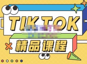 电商孵化中心·TikTok精品课程，教你玩转海外抖音，低成本创业，带您从0开始玩转TikTok-小鸿资源库