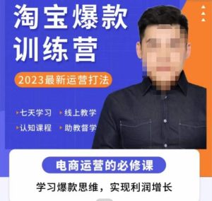 爱上黄昏·淘宝爆款训练营，2023最新运营打法，学习爆款思维，实现利润增长-小鸿资源库