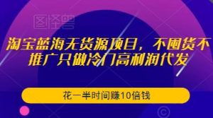 淘宝蓝海无货源项目，不囤货不推广只做冷门高利润代发，花一半时间赚10倍钱-小鸿资源库