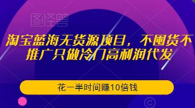 淘宝蓝海无货源项目，不囤货不推广只做冷门高利润代发，花一半时间赚10倍钱-小鸿资源库