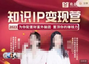 鹿盈盈-知识IP变现实操营，​普通人可复制的知识产品落地实操课，​带你打通知识IP变现底层逻辑-小鸿资源库