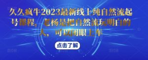 久久疯牛2023最新线上纯自然流起号课程，老杨是把自然流玩明白的人，可以闭眼上车-小鸿资源库