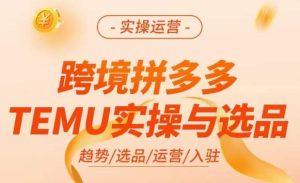 跨境拼多多TEMU实操与选品,掌握平台运营方法技巧,选品避坑12条标准,爆款的底层思路等-小鸿资源库