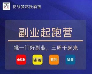 花爷-副业起跑营第2期，挑一门好副业，三周干起来（闲鱼｜小红书｜量化｜套利）-小鸿资源库