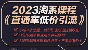 2023直通车低价引流玩法课程，小成本大流量，低价引流快速拉新收割，让你快速掌握直通车突破瓶颈-小鸿资源库