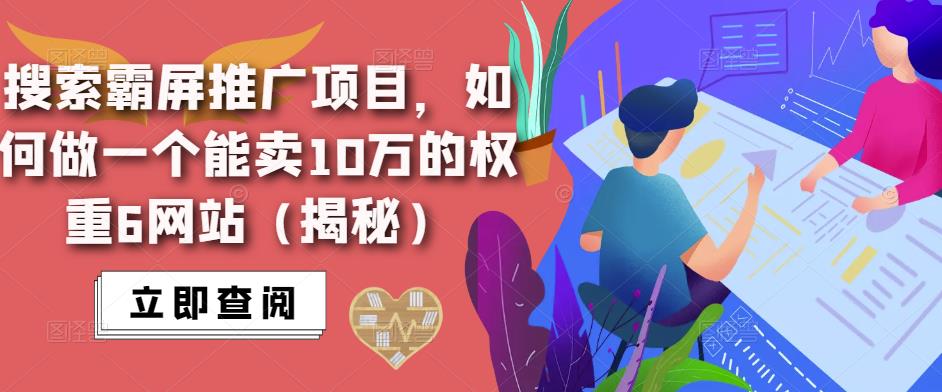 搜索霸屏推广项目,如何做一个能卖10万的权重6网站(揭秘)-小鸿资源库