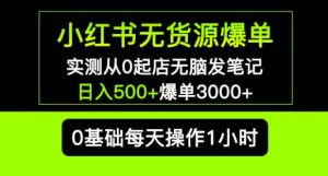 小红书无货源爆单实测从0起店无脑发笔记爆单3000+长期项目可多店-小鸿资源库