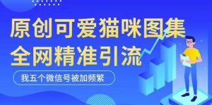黑科技纯原创可爱猫咪图片，全网精准引流，实操5个VX号被加频繁-小鸿资源库