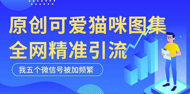 黑科技纯原创可爱猫咪图片，全网精准引流，实操5个VX号被加频繁-小鸿资源库