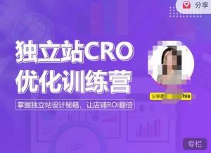 独立站CRO优化训练营，掌握独立站设计秘籍，打造高转化的独立站，让店铺ROI翻倍-小鸿资源库