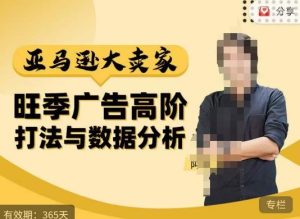 阿甘·亚马逊大卖家广告高阶打法与数据分析,走出传统广告误区;揭秘大卖惯用打法;数据驱动广告决策-小鸿资源库