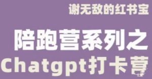 谢无敌ChatGPT打卡营，教你更好地使用ChatGPT来提高工作效率-小鸿资源库