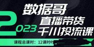 数据哥2023直播电商巨量千川付费投流实操课,快速掌握直播带货运营投放策略-小鸿资源库
