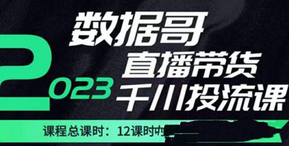 数据哥2023直播电商巨量千川付费投流实操课,快速掌握直播带货运营投放策略-小鸿资源库
