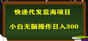 2023最新蓝海快递代发项目，小白零成本照抄也能日入300+-小鸿资源库