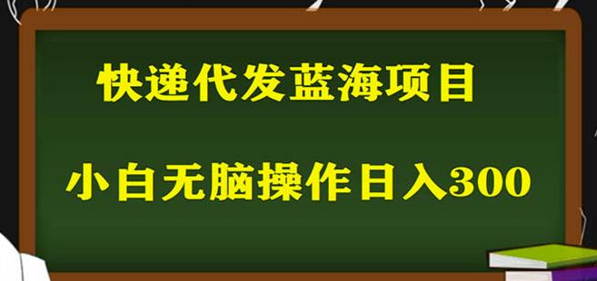 2023最新蓝海快递代发项目，小白零成本照抄也能日入300+-小鸿资源库
