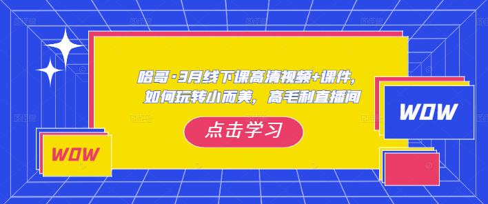 哈哥·3月线下实操课高清视频+课件,如何玩转小而美,高毛利直播间-小鸿资源库