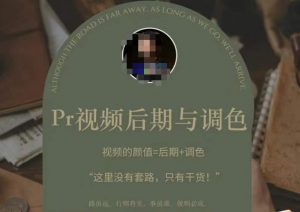 Pr视频后期与调色，视频颜值=后期+调色，这里没有套路，只有干货！-小鸿资源库