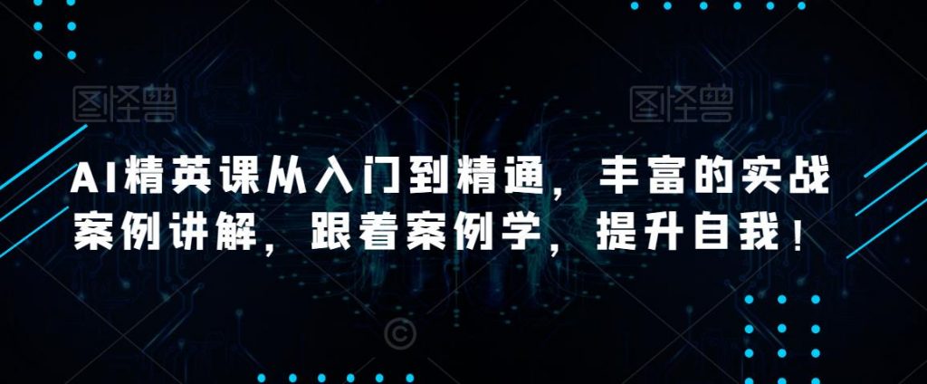 AI精英课从入门到精通，丰富的实战案例讲解，跟着案例学，提升自我！-小鸿资源库