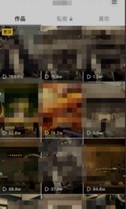 毒文案升级玩法，流量爆炸，5分钟一条原创作品，单个作品变现500+-小鸿资源库