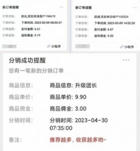 快递代发CPS，月入万元，不起眼却很赚钱的信息差项目【揭秘】-小鸿资源库