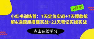 小红书训练营:7天定位实战+7天爆款拆解&选题库搭建实战+21天笔记实操实战-小鸿资源库