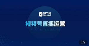 那个腾·视频号直播运营，​视频号直播推流逻辑/流量渠道解析/直播起号攻略/直播实操技巧-小鸿资源库