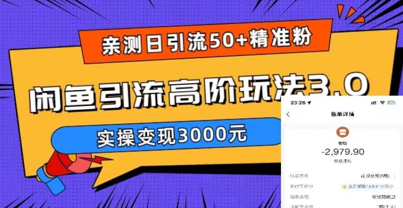 亲测日引50+精准粉，闲鱼引流高阶玩法3.0，实操变现3000元【揭秘】-小鸿资源库