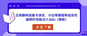 正规暴利流量卡项目，小白零基础零成本无脑照抄也能日入300+【揭秘】-小鸿资源库