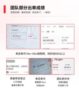 2023小红书电商火爆全网，新晋红利，风口项目，单店收益在3000-30000！-小鸿资源库