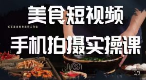 烁石·美食视频手机拍摄实操课，​美食摄影理论、手机拍摄相关设置、剪辑调色、布光原理等内容-小鸿资源库
