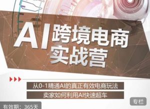 白龙老师·AI跨境电商实战营：从0-1精通Al的真正有效电商玩法，卖家如何利用Al快速超车-小鸿资源库