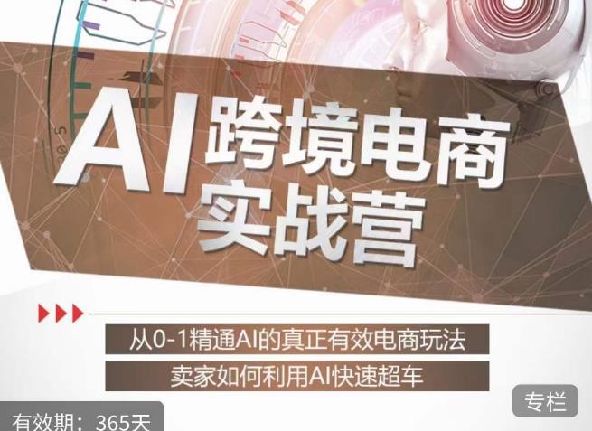 白龙老师·AI跨境电商实战营：从0-1精通Al的真正有效电商玩法，卖家如何利用Al快速超车-小鸿资源库