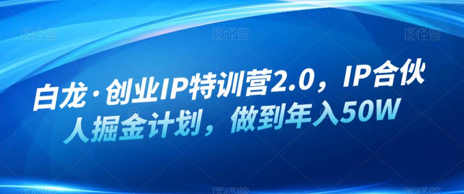 白龙·创业IP特训营2.0，IP合伙人掘金计划，做到年入50W-小鸿资源库