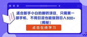 适合新手小白的搬砖项目，只需要一部手机、不用引流也能做到日入300+【揭秘】-小鸿资源库